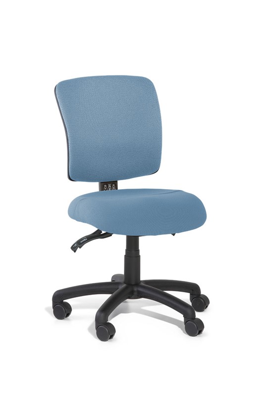 Boxta Medium Back Ergonomic Office Chair